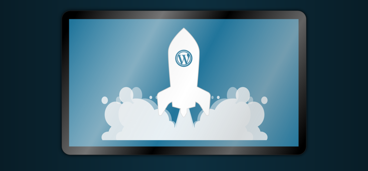 wordpress agentur vorteil
