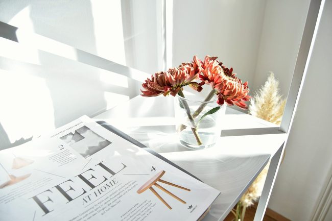 Magazin Online Magazine