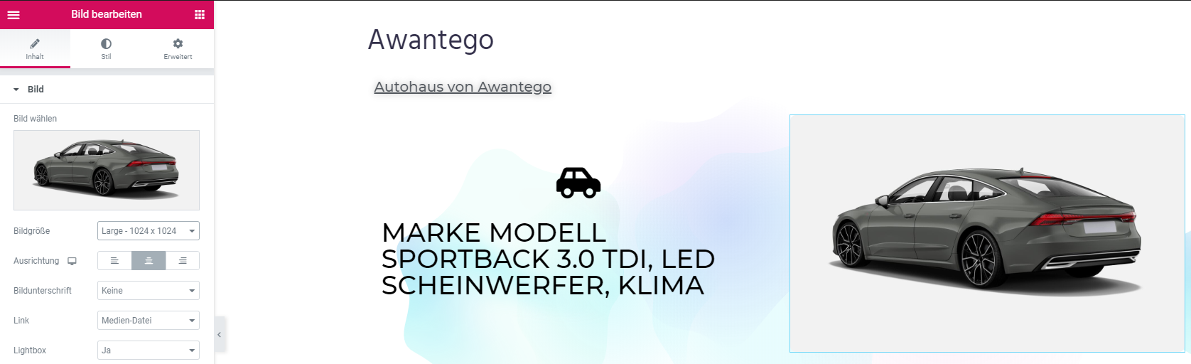 Elementor 13