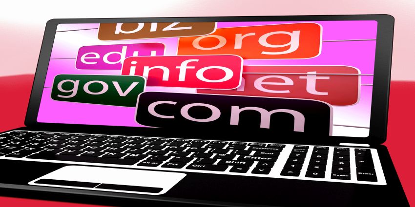 Domains On Laptop Shows Web Searching And Sites Visiting