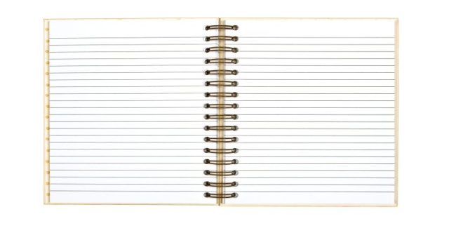 Blank Journal Background