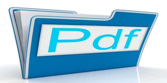 Pdf File Shows Documents Format Or Files