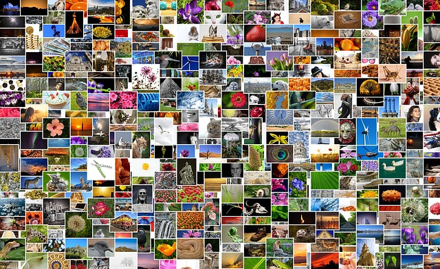 Content_Marketing_Bilder